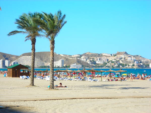 Cullera, Ribadesella y Cádiz, tendencias nacionales para este verano