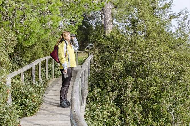 Andalucía se posiciona como destino preferente en turismo ornitológico