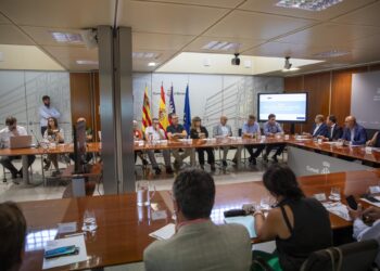 Airbnb elimina todos los anuncios no registrados en Ibiza