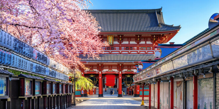 Logitravel lanza descuentos de hasta el 30% para el ‘Black Friday’ y refuerza su operativa