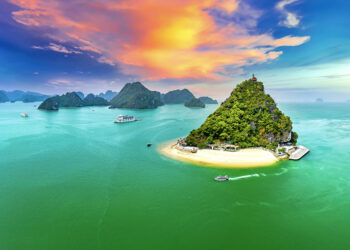 VECI lanza su campaña de Black Friday con descuentos de hasta el 50%