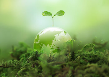 Economía circular en el Turismo: hacia un modelo sin desperdicio