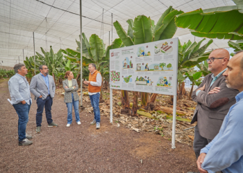 CTC consolida el modelo de éxito que vincula y fortalece alianzas entre hoteleros y agricultores