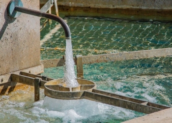 Turismo y consumo de agua: recurso crítico, competencia sectorial y sostenibilidad en destinos secos