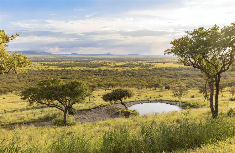 Meliá, líder en la lucha contra el cambio climático