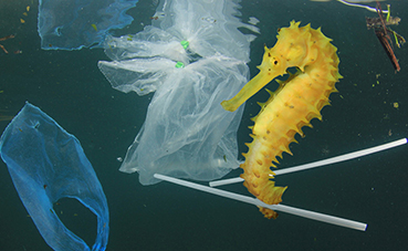 Mar Hotels se una a la pesca de plástico con Gravity Wave y Eco-One