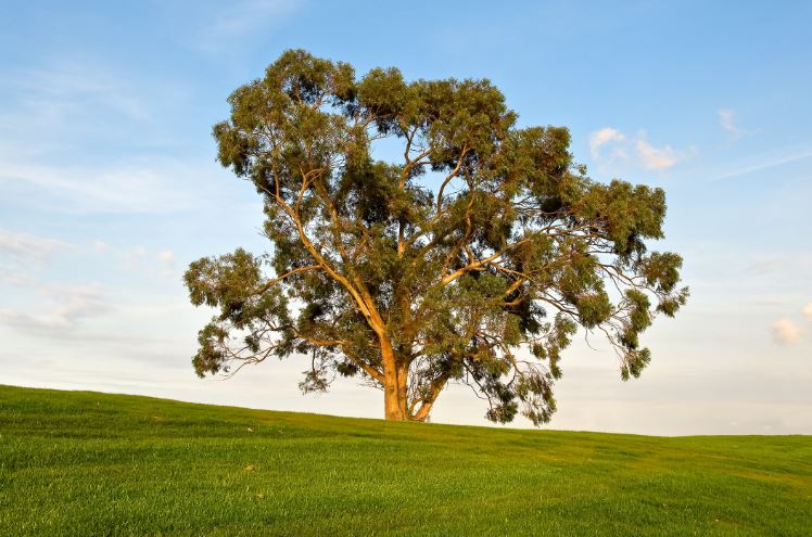 Vincci Hoteles recicla casi la mitad de sus residuos en 2021