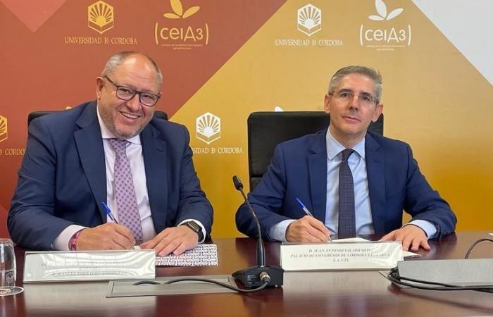 Convenio entre la Universidad de Córdoba y el Palacio de Congresos