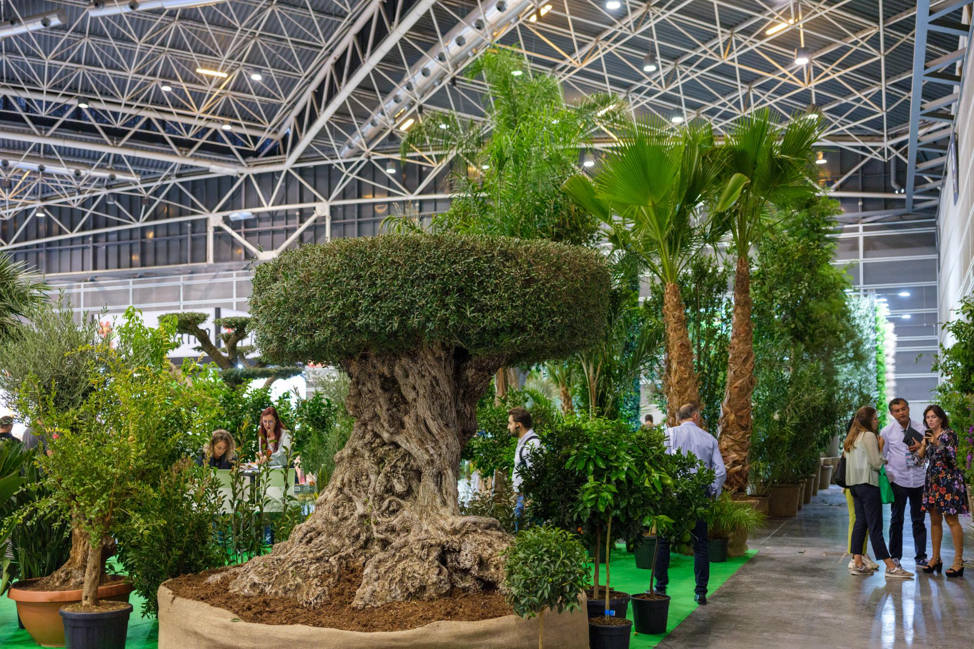 El próximo martes arranca la Iberflora más internacional de los últimos años
