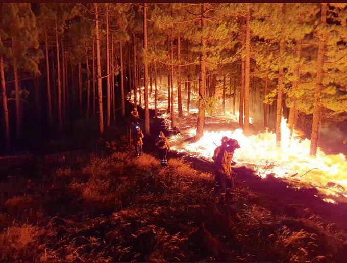 Ashotel lamenta las cancelaciones por el incendio en Canarias