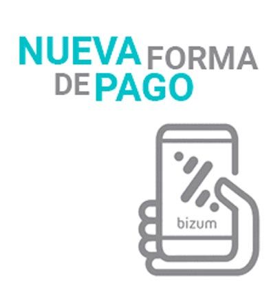 Bizum para el pago de los viajes en páginas web