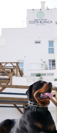 Dormio Resort Costa Blanca espacio Pet Friendly