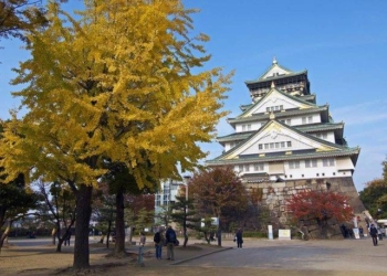 El emisor español dispara sus llegadas a Japón: un 49% más en el primer semestre