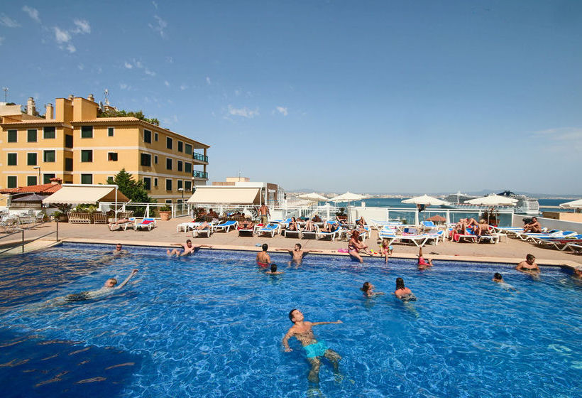 Palma prepara la red wifi más grande del continente