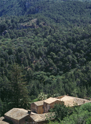 El hotel Cap Rocat inicia una campa&ntilde;a de recogida de fondos por el incendio en la Sierra de la Tramuntana