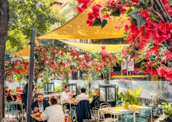 Valencia promociona el turismo ornitológico en la feria Global Birdfair